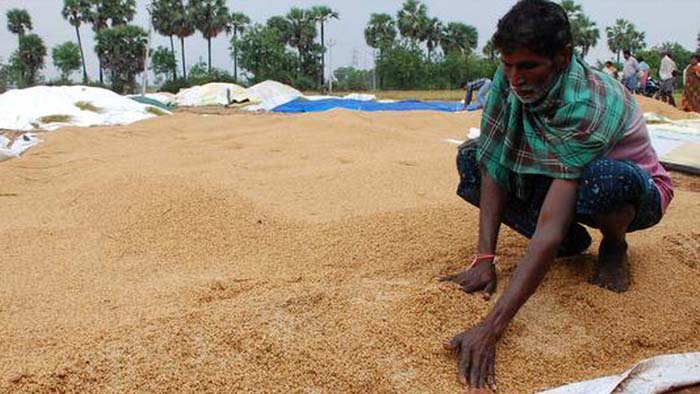 Farmers Of Nalgonda