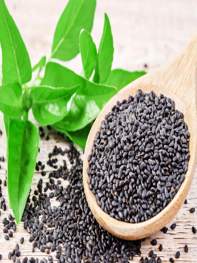 Basil Seeds తులసి గింజలతో శరీరానికి బోలెడు లాభాలు NTV Telugu