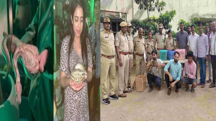 Xora Night Club: జోరా పబ్‌ ఓనర్‌ ని అరెస్ట్ చేసిన పోలీసులు