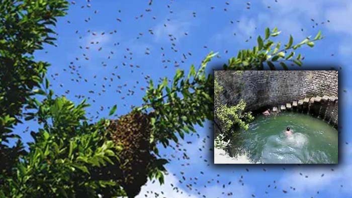 Tragedy in nirmal: తేనెటీగల దాడి.. తప్పించుకునేందుకు బావిలో దూకిన యువకుడు..!