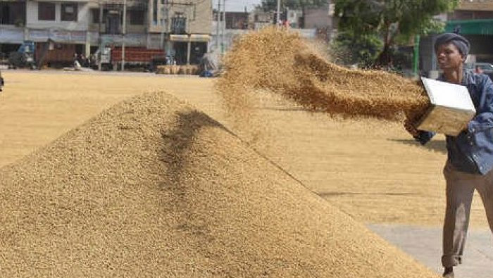 Paddy Procurement