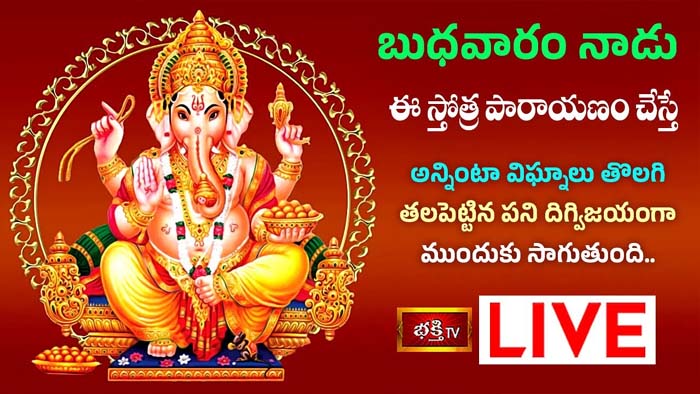 Vinayaka stotra: ఈ స్తోత్రపారాయణం చేస్తే విఘ్నాలు తొలగి తలపెట్టిన పనిలో విజయం సాధిస్తారు