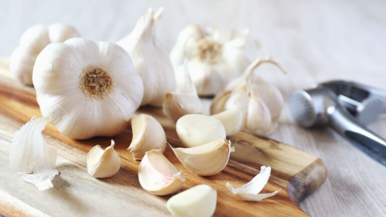 Heart Health Tips: గుండె జబ్బులకు వెల్లుల్లి మంచి ఔషధం.. ఈ షాకింగ్ ప్రయోజనాలు తెలుసా?