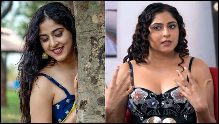 Monika Bhadoriya: ఆ టార్చర్ భరించలేక చనిపోవాలనుకున్నా.. బుల్లితెర నటి బాంబ్