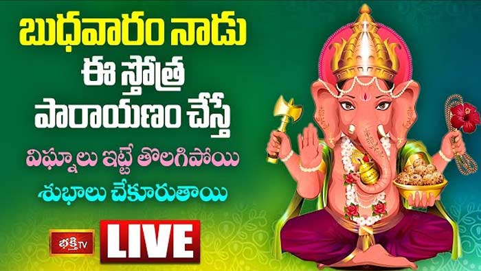 Sri Ganesha Stotra Parayanam: నేడు ఈ స్తోత్ర పారాయణం చేస్తే విఘ్నాలు తొలిగి శుభాలు చేకూరుతాయి
