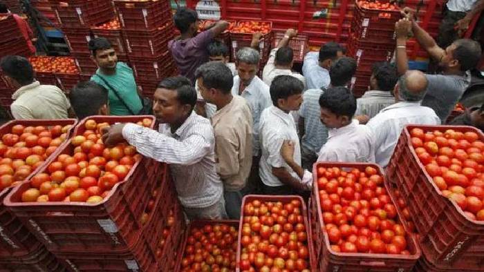 Tomato Prices