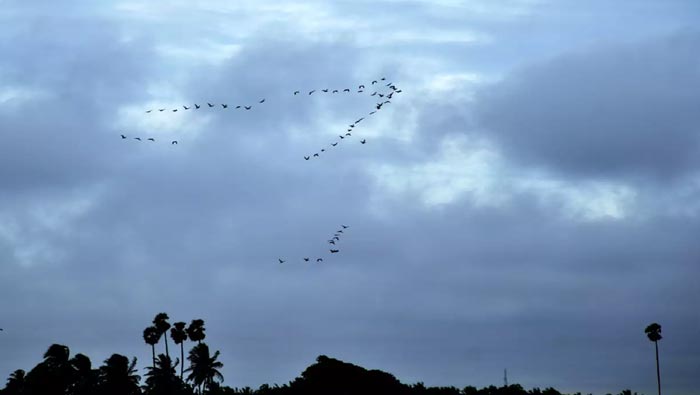 Weather Update: జూన్‌లో 30 శాతం తగ్గిన వర్షపాతం