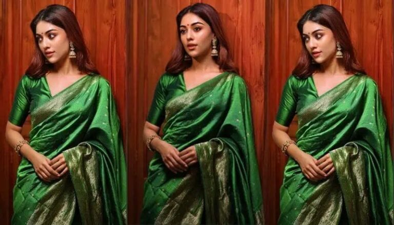 Anu Emmanuel : ట్రెడిషనల్ లుక్ లో అదరగొట్టిన అను ఇమ్మానుయల్…
