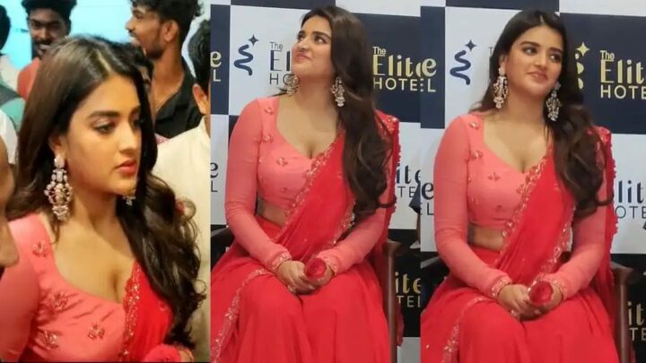 Nidhi Agarwal : క్యూట్ లుక్ తో అదరగొడుతున్న నిధి అగర్వాల్