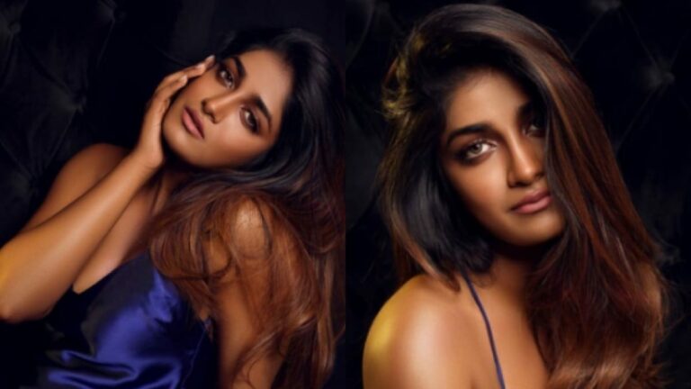 Dimple Hayathi : ఆ భారీ సినిమాలో ఐటమ్ సాంగ్ ఆఫర్ కొట్టేసిన డింపుల్ హయతి…?