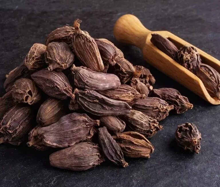 Black Cardamom : వీటిని రోజూ తీసుకోవడం వల్ల ఏమౌతుందో తెలిస్తే జన్మలో వదలరు..