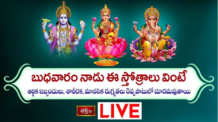 Wednesday Stotra: ఈ స్తోత్రాలు వింటే ఆర్థిక ఇబ్బందులు, శారీరక, మానసికలు దూరమవుతాయి
