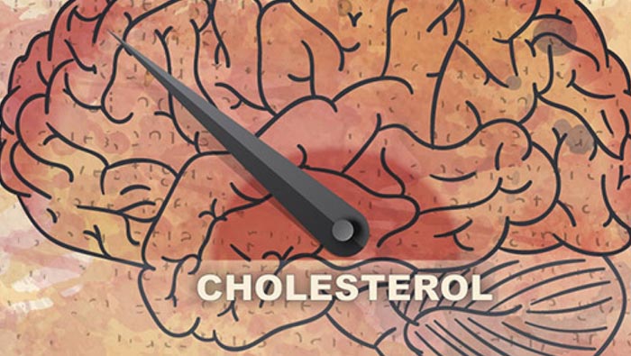 High cholesterol Symptoms: కొలెస్ట్రాల్⁭తో ఇబ్బందిపడుతున్నారా.. ఆ అవయవాలకు చాలా డేంజర్..!