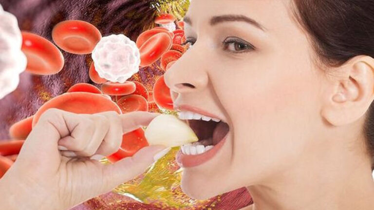 Cholesterol Control Tips : కొవ్వును వెన్నలా కరిగించే ఆయుర్వేద మూలికలు..