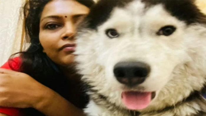 Viral News: కుక్క తప్పిపోయిందని పోలీసులను తిప్పలు పెడుతున్న మున్సిపల్ కమిషనర్. దాదాపు 500 ఇళ్లలో సోదాలు..!