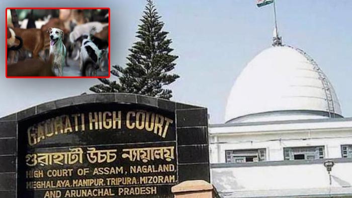 Nagaland Govt: కుక్క మాంసం అమ్మకానికి ఆ రాష్ట్రంలో గ్రీన్ సిగ్నల్