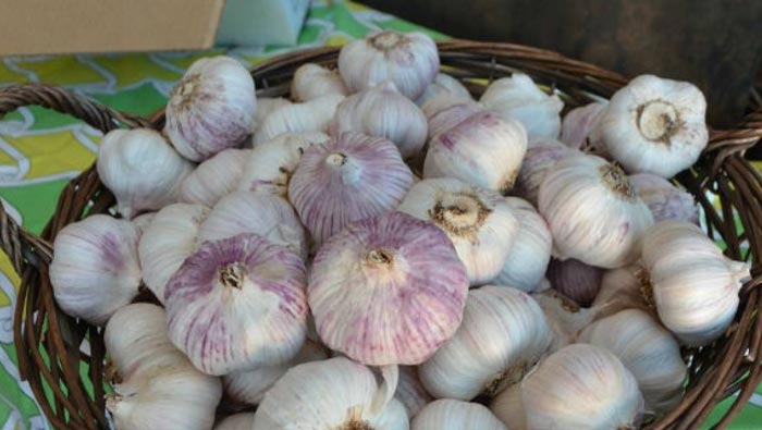 Garlic Price Hike: రిటైల్ మార్కెట్‌లో ఒక్కసారిగా ఘాటెక్కిన వెల్లుల్లి.. ఎంత పెరిగిందంటే ?