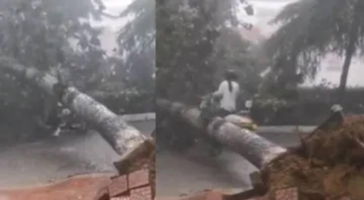 Viral Video: జస్ట్ మిస్.. లేదంటే