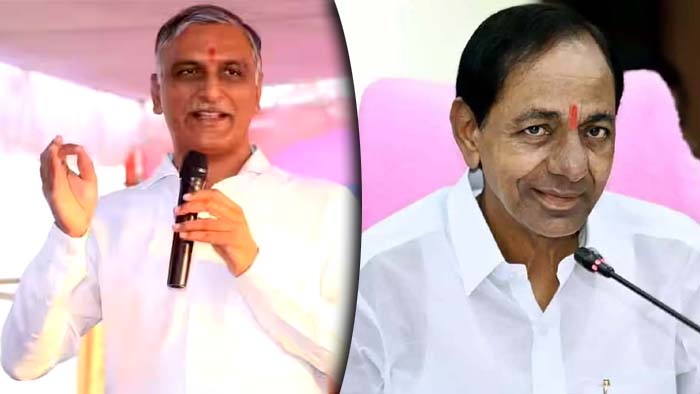 Harish Rao: కేసీఆర్ నంబర్ వన్ కాబట్టే.. తెలంగాణ నంబర్ వన్ అయ్యింది