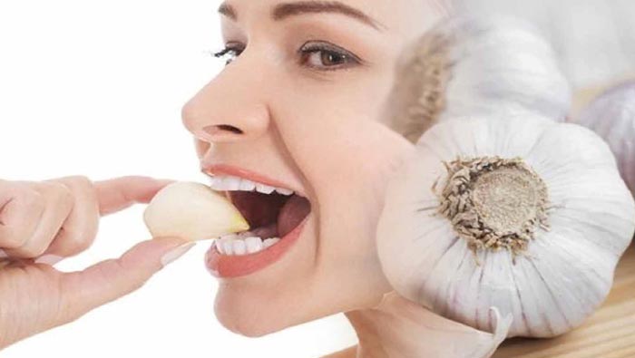 Health Tips: పరిగడుపున పచ్చి వెల్లుల్లిని తింటే ఏం జరుగుతుందో తెలుసా..?