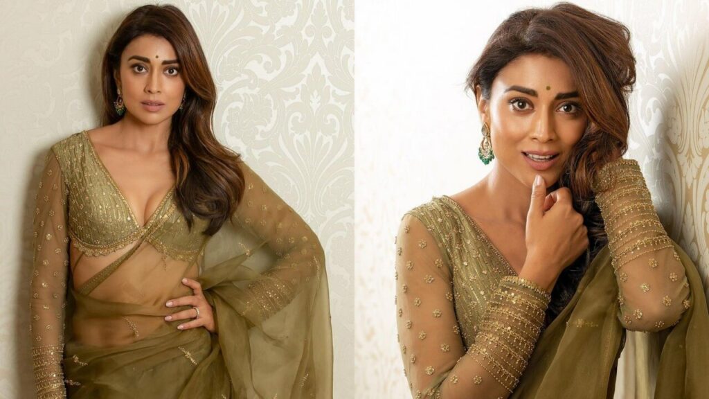 In Pics Shriya Saran Is Surreal Personified In Saree 11