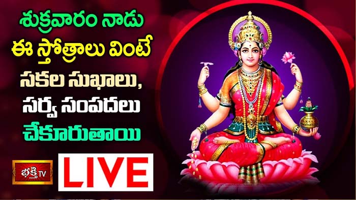 Lakshmi stotram: ఈ స్తోత్రాలు వింటే సకల సుఖాలు, సర్వ సంపదలు చేకూరుతాయి