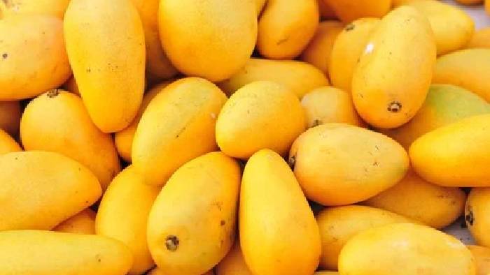 Mangoes