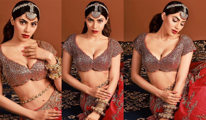 Nikki Tamboli: ఆ ఎద అందాలు.. జాకెట్ లో దాచినా దాగనంటున్నాయా పాప