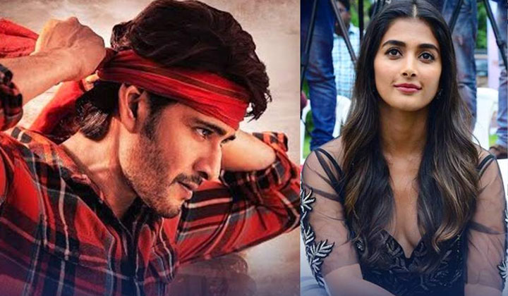 Pooja Hegde Out Of Guntur K