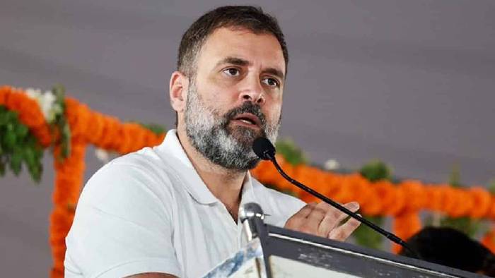 Rahul Gandhi: అమరావతిపై దృష్టిపెట్టిన రాహుల్.. రంగంలోకి ప్రియాంక గాంధీ, విశాఖలో..