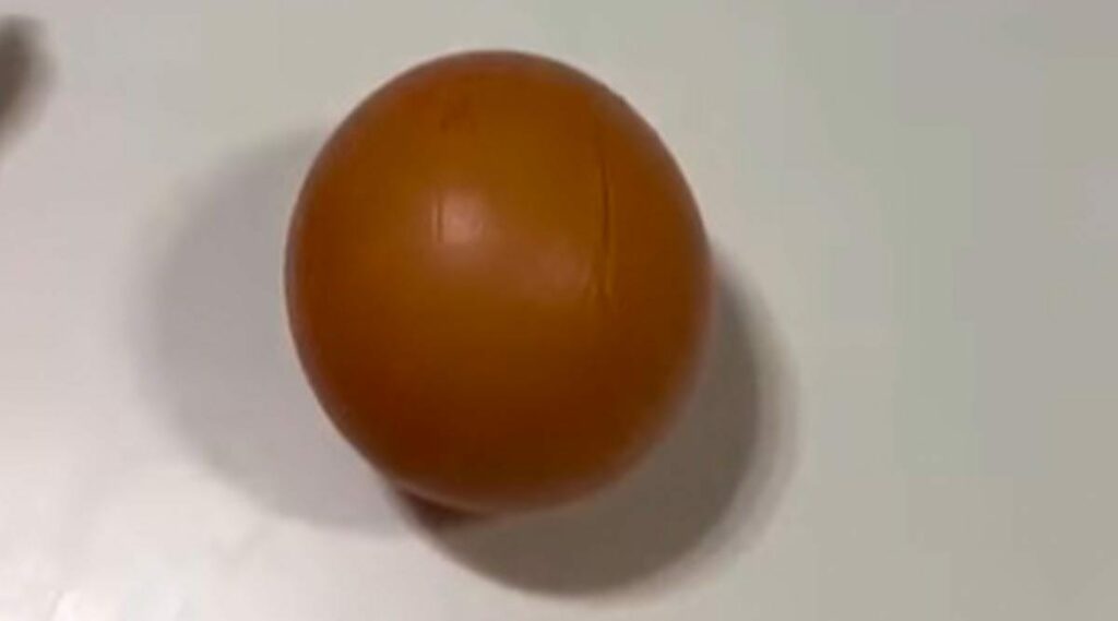 Round Egg