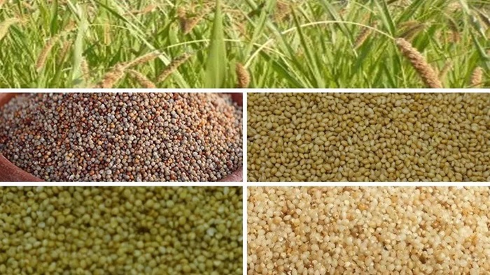 G-20 Countries: శ్రీ అన్న సాగు వినియోగాన్ని పెంచడానికి అంగీకరించిన జీ-20 దేశాలు