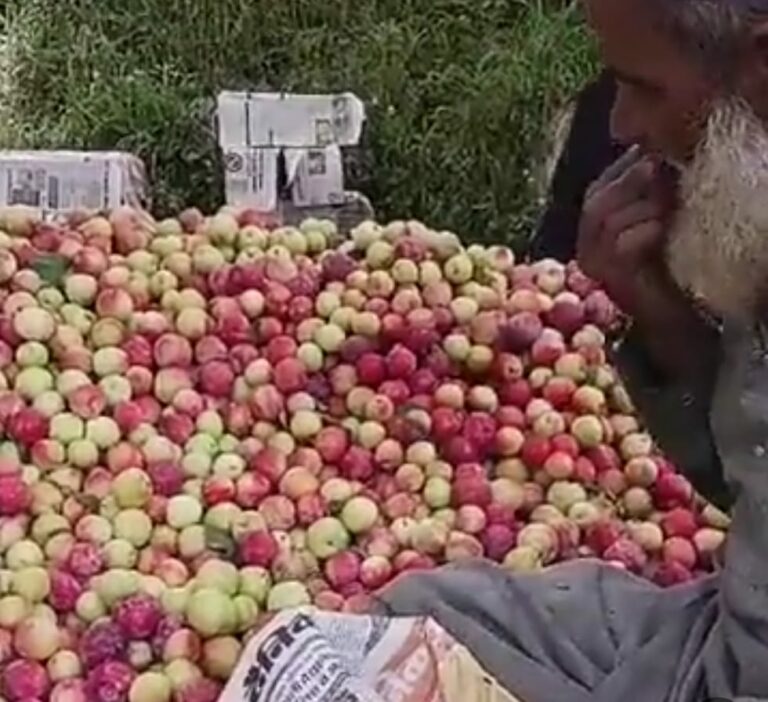 Viral News: ఛీ.. ఛీ.. ఇలాంటివి చూస్తే ఇక పండ్లను కొనరు..