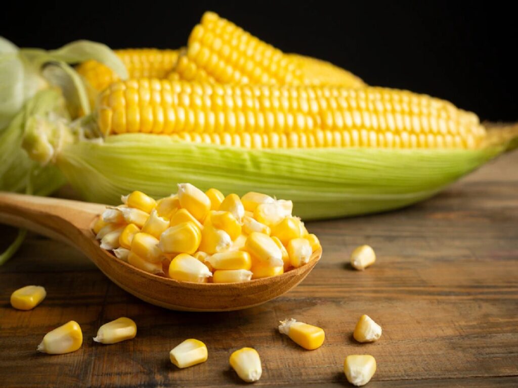 Sweet Corn