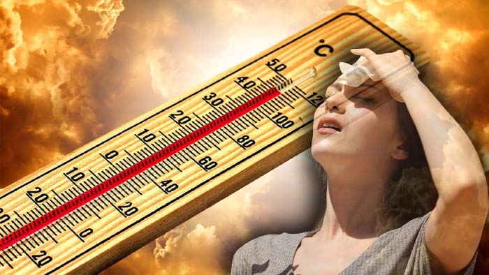 Telangana weather: రాబోయే ఐదు రోజుల పాటు వడగాల్పులు.. పలు జిల్లాలకు వర్షసూచన