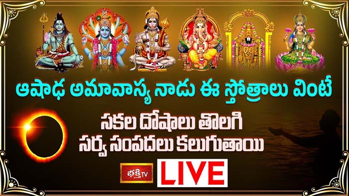 Ashada Amavasya: ఆషాఢ అమావాస్య నాడు ఈ స్తోత్రాలు వింటే దోషాలు తొలగిపోతాయి