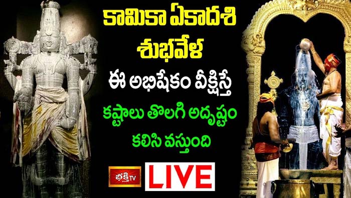 Kamika Ekadashi: కామికా ఏకాదశి శుభవేళ ఈ అభిషేకం వీక్షిస్తే అదృష్టం కలిసి వస్తుంది