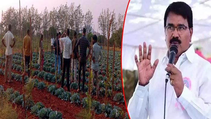 NRIs Agriculture: లండన్ లో ఉద్యోగం వదిలేసి.. ఇక్కడ వ్యవసాయం సాగు.. మీరు నిజంగా..!
