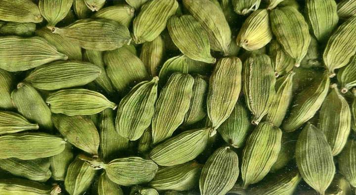 Small Business Idea: మీ ఇంట్లో ఈ మసాలా పండించండి.. కిలోకు రూ. 3000 పొందండి