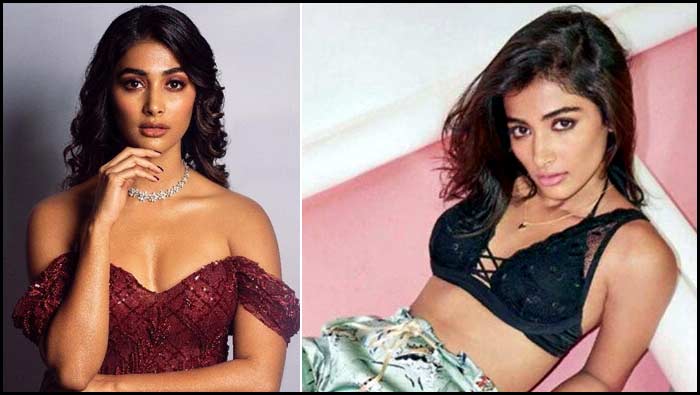 Pooja Hegde: పూజా హెగ్డే కౌంటర్.. అతనికి లీగల్ నోటీసులు