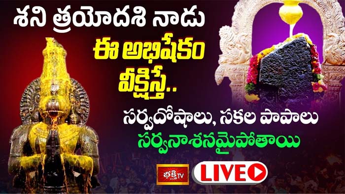 Shani Trayodashi: శని త్రయోదశి నాడు ఈ అభిషేకం వీక్షిస్తే సకల పాపాలు పోతాయి