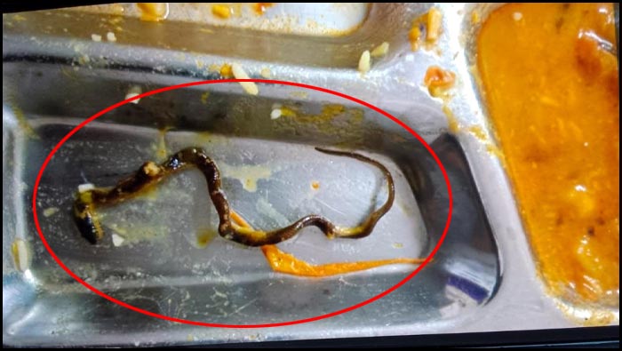 ECIL Canteen: ఈసీఐఎల్ క్యాంటీన్‌లో షాకింగ్ ఘటన.. పప్పులో పాము పిల్ల