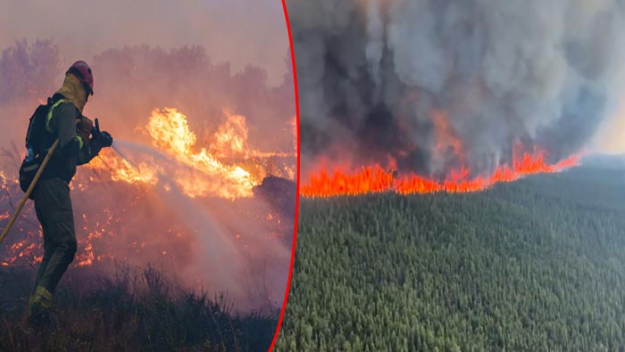 Spain Wildfires