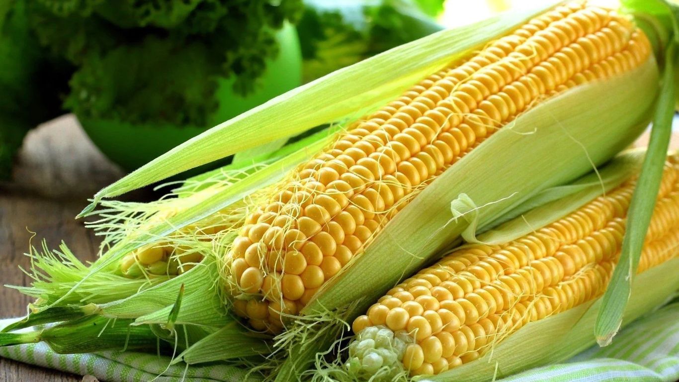 Sweet Corn Health Benefits: స్వీట్‌కార్న్‌తో ఎన్నో ఆరోగ్య ప్రయోజనాలు.. వయసుని కూడా తగ్గిచేస్తుంది!