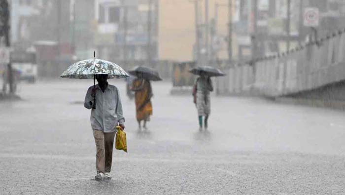 Telangana Rains: తెలంగాణకు భారీ వర్షసూచన.. పలు జిల్లాలకు ఎల్లో అలర్ట్ జారీ