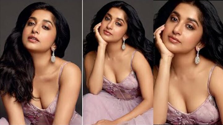 Meera Jasmine : సినిమాలకు దూరం కావడానికి కారణం అదేనా..?