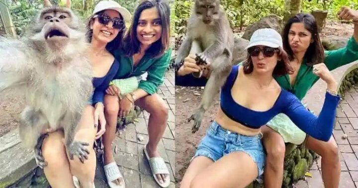 Samantha : మంకీతో సెల్ఫీ దిగుతున్న సమంత..