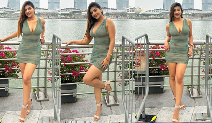 Yashika Aannand: ట్రాన్స్పరెంట్ షార్ట్ డ్రెస్సులో మతిపోగొడుతున్న యషికా