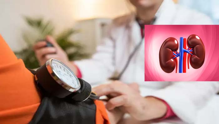 High BP: హైబీపీ ఉంటే కిడ్నీకి ఎఫెక్ట్.. ముఖ్యంగా వారికి ప్రమాదం..!