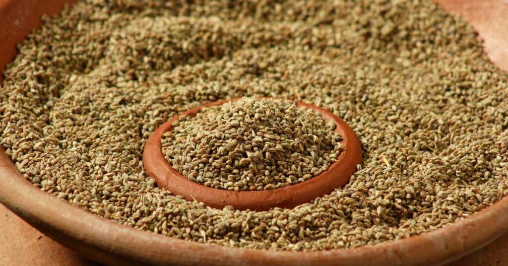 Carom Seeds